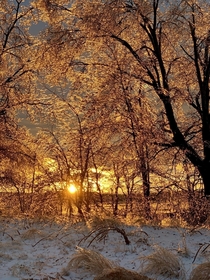 Freezing ice storm in CT ends with warm golden rays