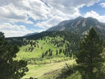 From a hiking trail in Boulder CO 