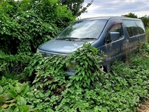 From New Zealand When the family wagon is surplus to requirements just push it up against a hedge and let nature claim it