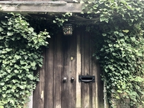 Front door to an abandoned country house slowly being taken over by ivy Everything left behind Link in comments for more if youre interested 