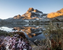 Frost on Bilberry Leaves below Banner Peak at Thousand Island Lake CA 