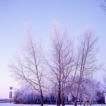 Frosts in Saskatchewan 