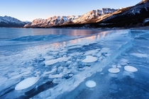 Frozen Abraham Lake with methane bubbles trapped inside - Canada   by Vicki Mar