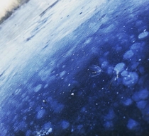 Frozen air bubbles in a swamp Finland  OC