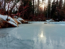 Frozen Creek Alberta Canada 