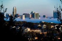 Frozen fog in Austin