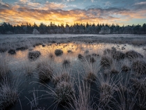 Frozen landscape during sunrise the Netherlands 