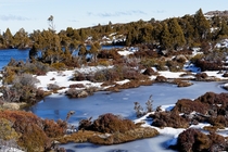 Frozen landscape in the Walls of Jerusalem National Park Tasmania 