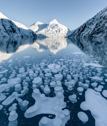 Frozen layered bubbles in Portage Lake Alaska  insta green_cale
