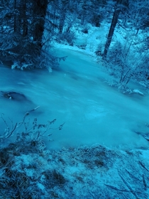 Frozen pond San Candido South Tyrol Italy 