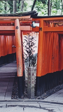 Fushimi Inari Kyoto