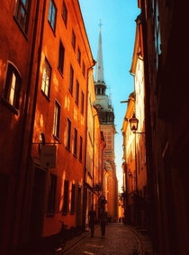 Gamla Stan the Old Town is one of the largest and best preserved medieval city centers in Europe and one of the foremost attractions in Stockholm This is where Stockholm was founded in 