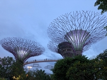 Gardens by the Bay Marina Singapore