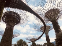 Gardens by the Bay Singapore 