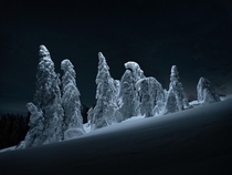 German winter landscape  Photo Tom Hegen