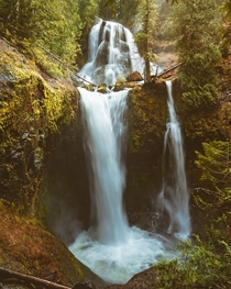 Gifford Pinchot Waterfall Washington 