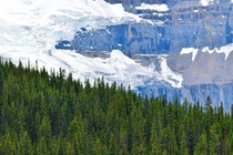 Glacier along Icefields Parkway Alberta 