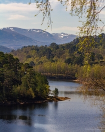 Glen Affric in the Scottish Highlands  Possibly the most beautiful Glen Ive ever visited 