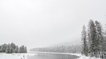 Glimpse of Winter - Lake Cascade ID 