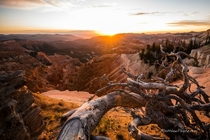 Glorious Sunset at Cedar Breaks National Monument Utah 