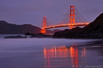 Golden Gate Glow 