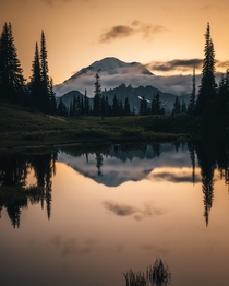 Golden hour in Mount Rainier Natl Park 