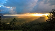 Golden Showers - Sunrise Queensland Australia -FEB- 