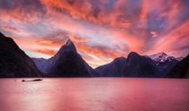 Good old Milford Sound New Zealand during a pink sunset yes real colors 