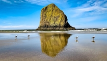 Got really lucky with this symmetry Haystack Rock OR 