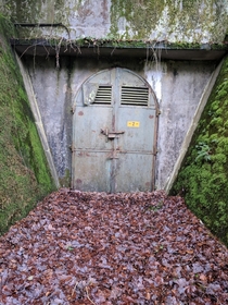Got to explore some WW bunkers in Germany last time I visited my family