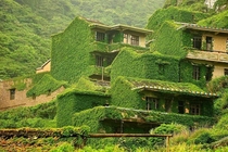 Gouqi Island is an abandoned green paradise in east of China