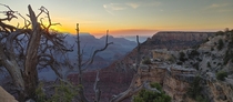 Grand Canyon at Dawn OC x
