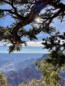 Grand Canyon National Park North Rim 