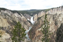 Grand Canyon of Yellowstone Lower Falls 