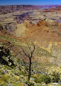 Grand Canyon south rim OC x