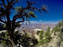 Grand Canyon Southern Rim AZ  x