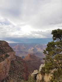 Grand Canyon - x 