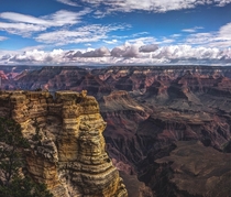 Grand Canyon  x