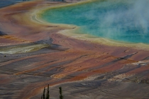 Grand Prismatic in Yellowstone NP 