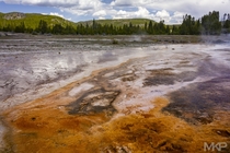 Grand Prismatic Spring area Yellowstone WY 