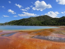 Grand Prismatic Spring Yellowstone National Park 