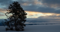 Grand Teton National Park in January 