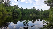 Granddads Pond Deepwoods of North Central Louisiana Amazing view with plenty of wild life 