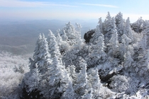 Grandfather Mountain Covered in Snow Today  by Kellen Short - 