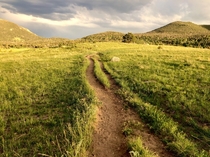 Grassy path in Rocky Mountain National Park 