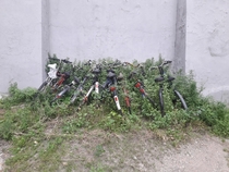 Graveyard for bikes in Italy