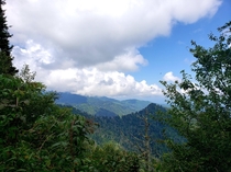 Great Smoky Mountains Appalachian Trail x 