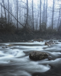 Great Smoky Mountains National Park on a foggy morning 