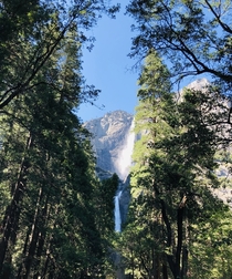 Great View of Yosemite Falls in Yosemite National Park California 