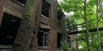 Greater Manchester Mill which has been reclaimed by nature